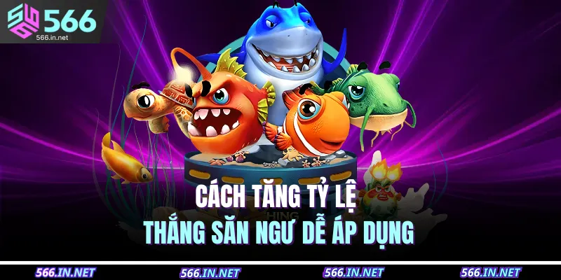 Cách tăng tỷ lệ thắng săn ngư dễ áp dụng