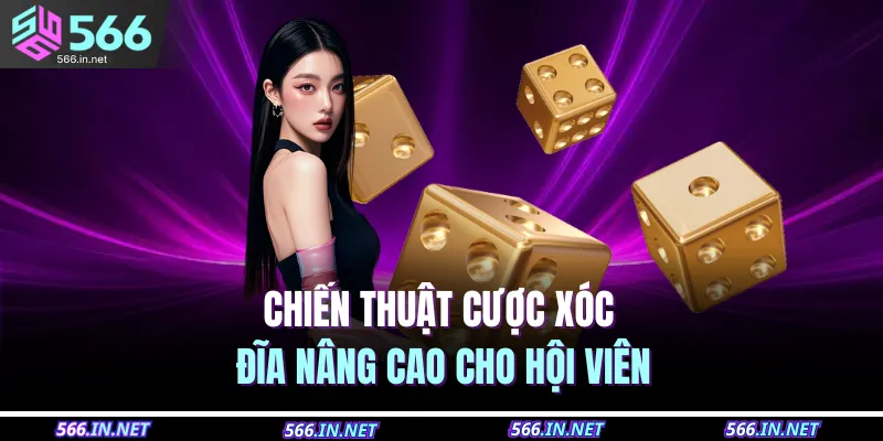 Chiến thuật cược xóc đĩa nâng cao cho hội viên