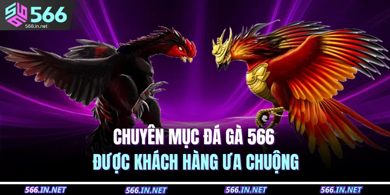 Chuyên mục đá gà 566 được khách hàng ưa chuộng 