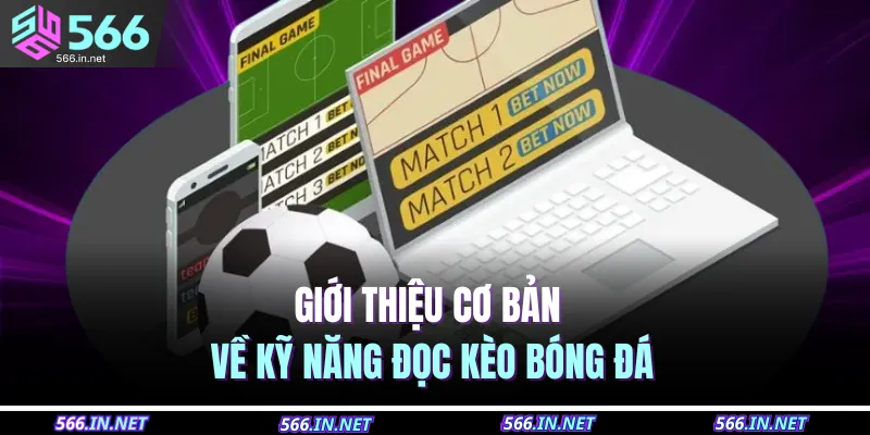 Giới thiệu cơ bản về kỹ năng đọc kèo bóng đá