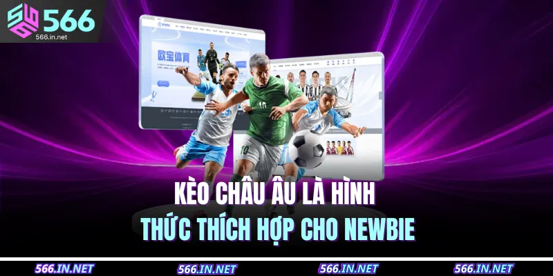 Kèo châu Âu là hình thức thích hợp cho newbie