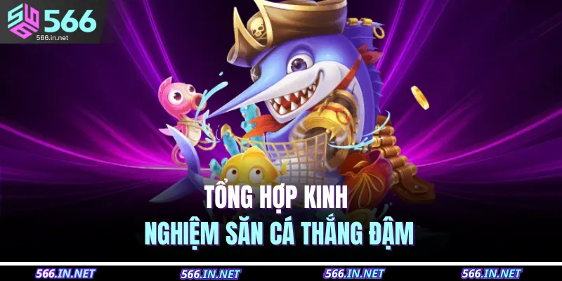 Tổng hợp kinh nghiệm săn cá thắng đậm